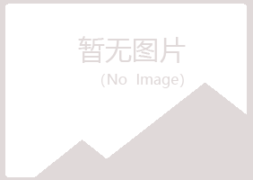 石河子夏日工程有限公司